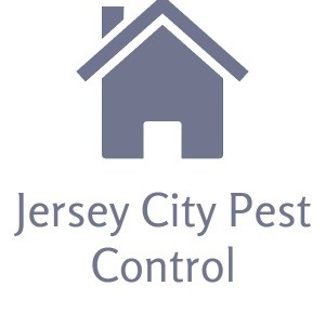 Jersey City Pest Control